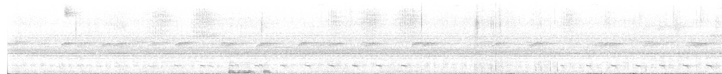 Trogon à queue blanche - ML616645275