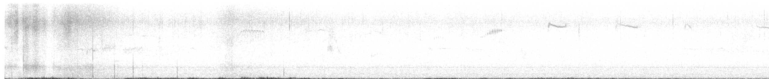 Weißbrustkleiber - ML616646102