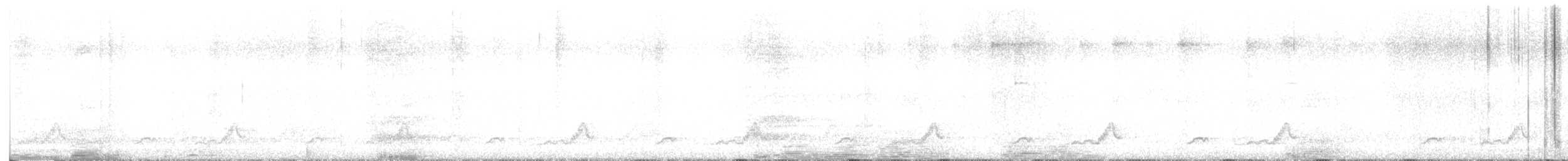 Schwarzkehl-Nachtschwalbe - ML616647670