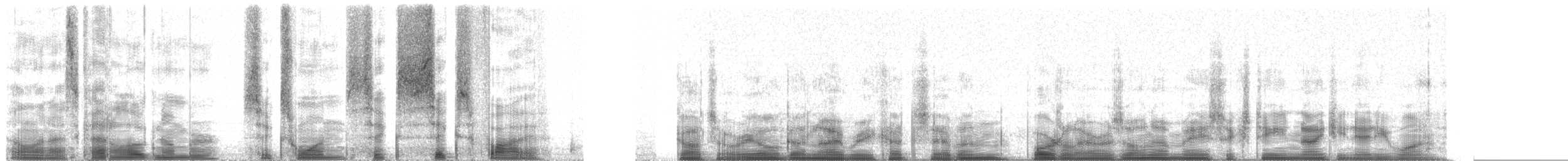 Scott's Oriole - ML61665