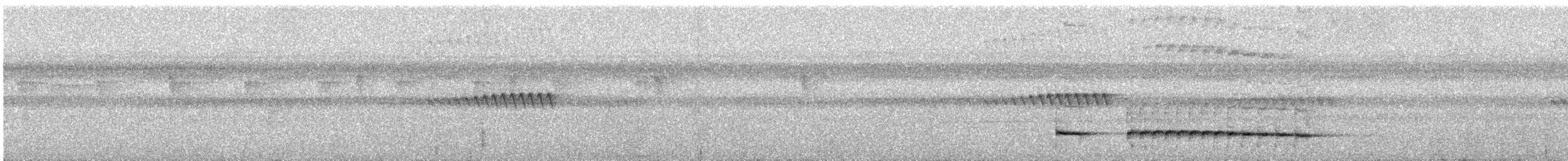 Graubrust-Ameisendrossel - ML616653384