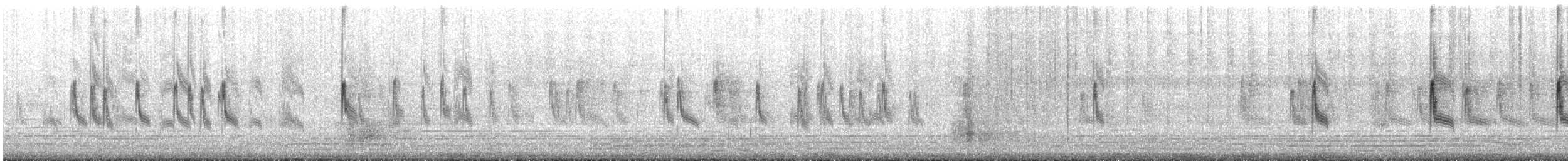 Bartmeise - ML616656206