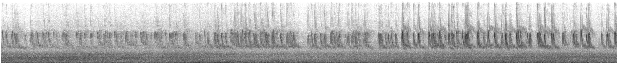 Bearded Reedling - ML616656207