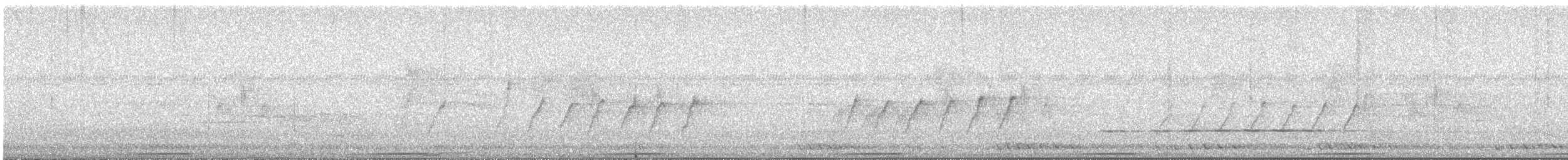 holub zelenokřídlý - ML616656339