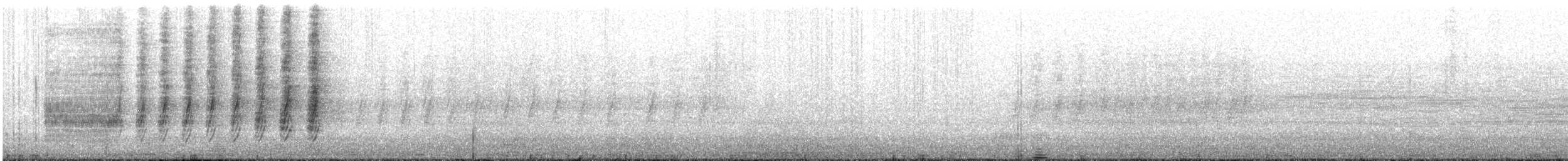 asurskjære (cyanus gr.) - ML616656598