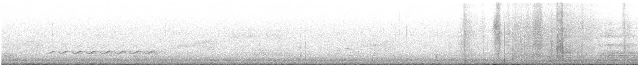 Weißbrustkleiber (aculeata/alexandrae) - ML616659218