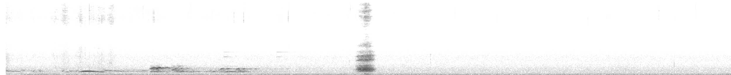 Barred Owl - ML616659874