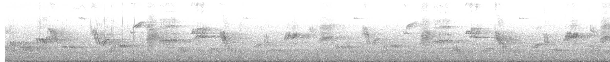 イソヒヨドリ - ML616661335