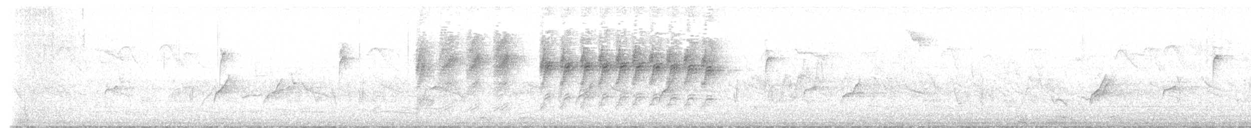 hvitvingemonark (cyanomelas/segregus) - ML616661757