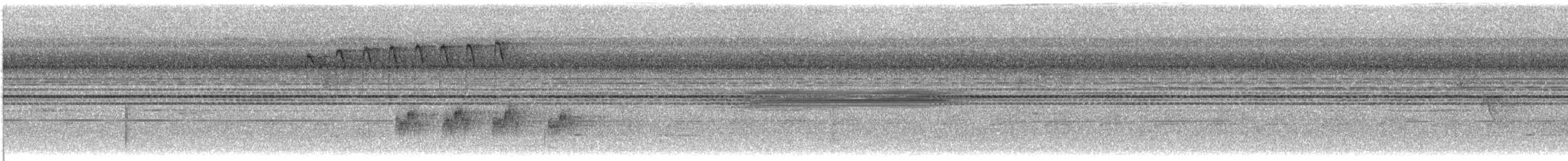 Turuncu Karınlı Öksekuşu - ML616665499