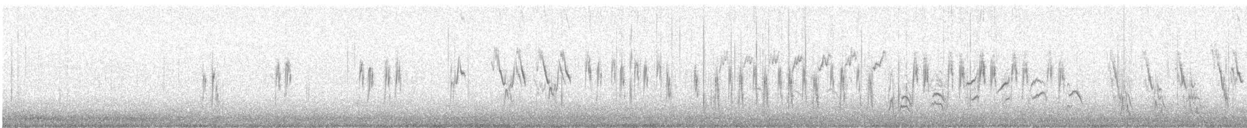 Bachstelze - ML616667313