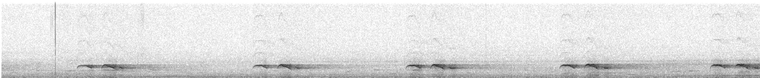 Зозуля білогорла - ML616668202