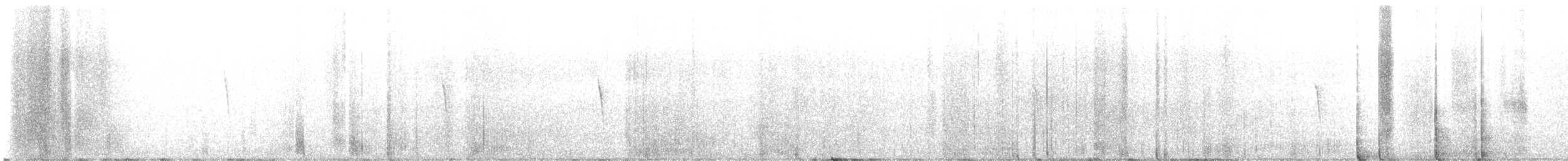 Светлобрюхий фиби - ML616668392