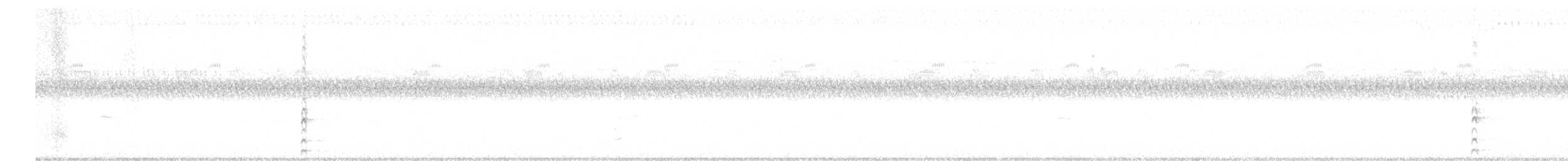 Gallinule d'Amérique (groupe galeata) - ML616671749