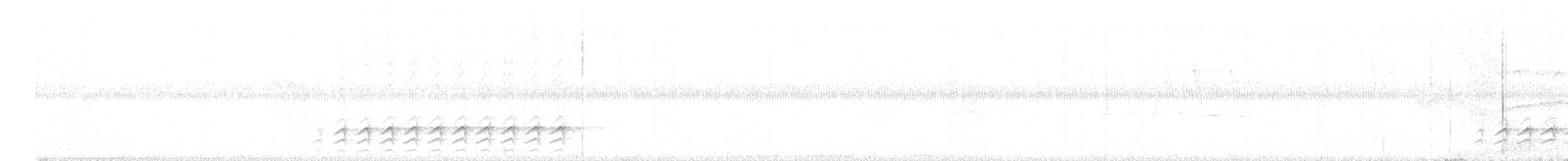 Sittelle à poitrine blanche (carolinensis) - ML616672373