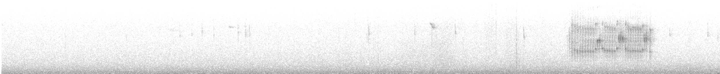 Stachelschwanzschlüpfer - ML616672660