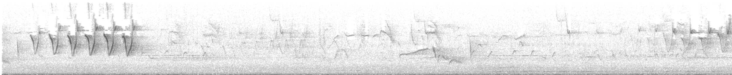 Prothonotary Warbler - ML616672706