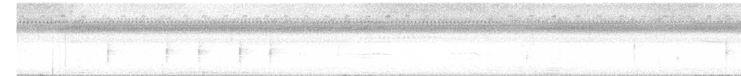 Carouge à épaulettes (groupe phoeniceus) - ML616673125