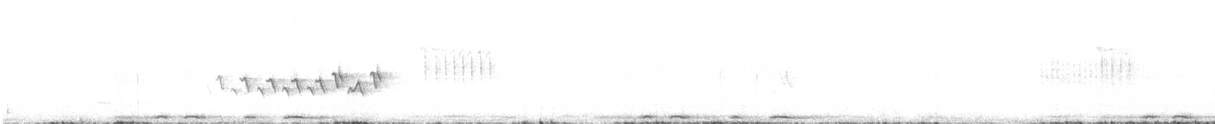 Белокрылая канделита - ML616673814