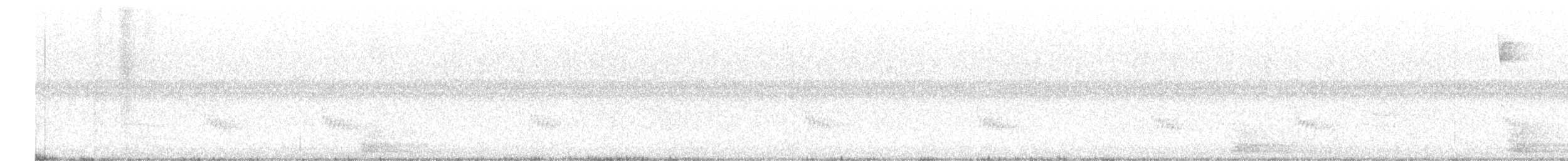 Carolina Wren - ML616674696