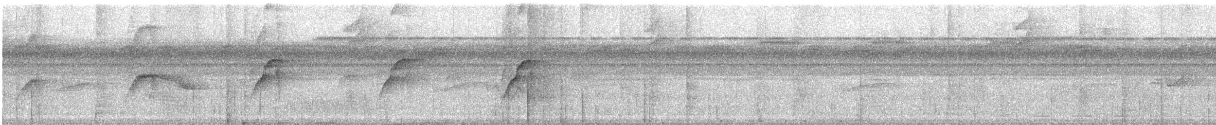 Orange-eyed Flatbill - ML616676480