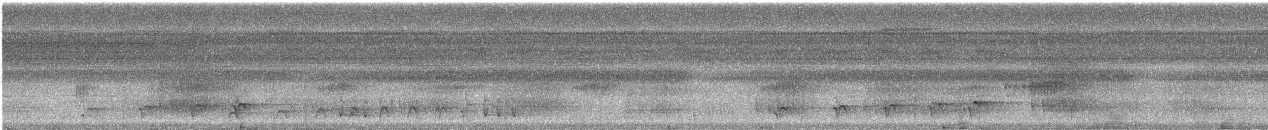 Schwarzbrust-Ameisenfänger - ML616676543