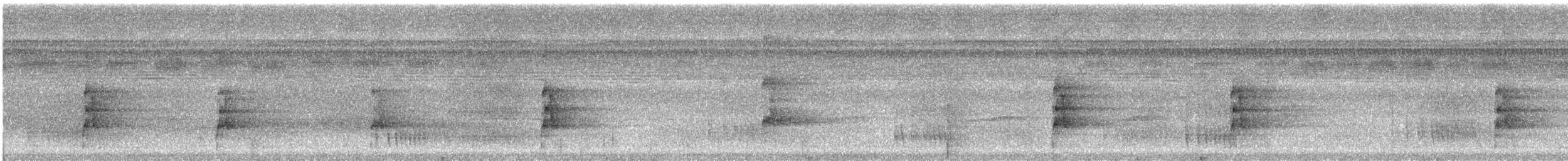 Bindenarassari - ML616676558