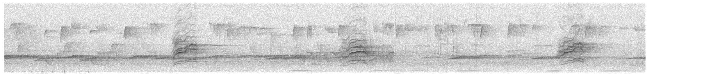 Дрізд-короткодзьоб плямистоволий - ML616676568
