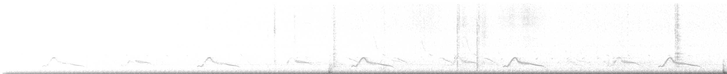 Pauraquenachtschwalbe - ML616678166