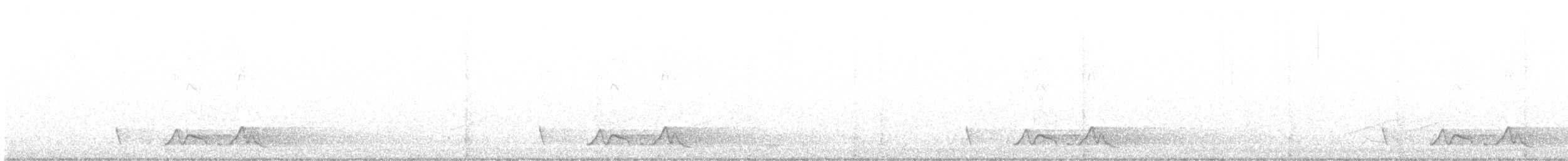 チャックウィルヨタカ - ML616678782