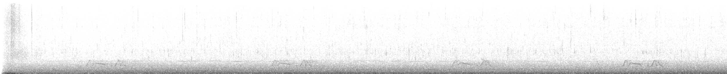Carolinanachtschwalbe - ML616681908