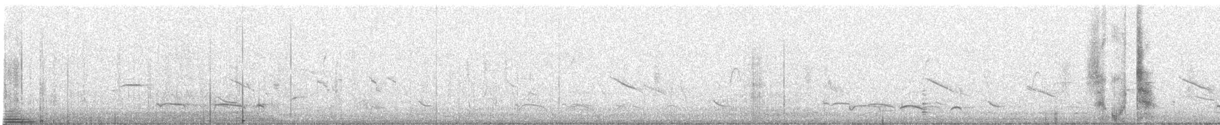 Лінивка-смугохвіст плямистобока - ML616683945