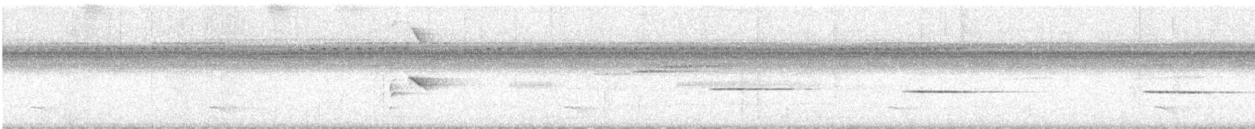 Полосатая пипра - ML616689800