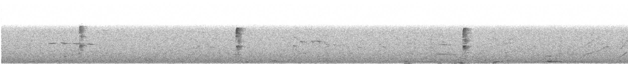 strakapoud proužkohřbetý - ML616691187