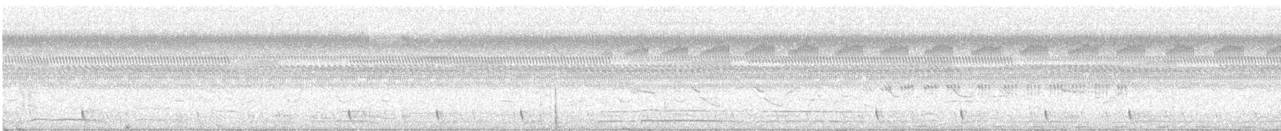 Large-tailed Nightjar - ML616693013