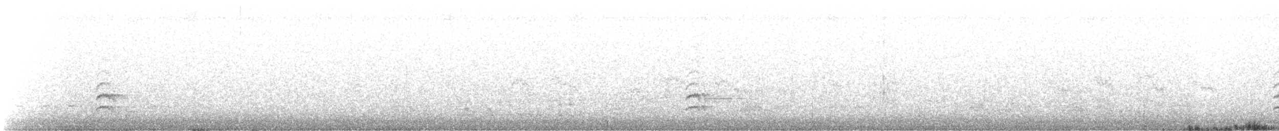Sittelle à poitrine blanche (aculeata/alexandrae) - ML616698133