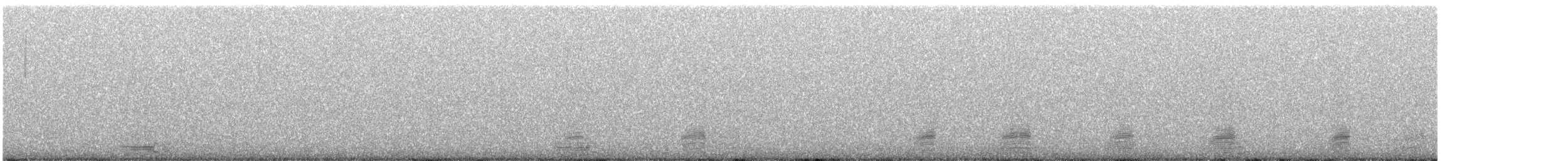 Зэрлэг нугас - ML616701673