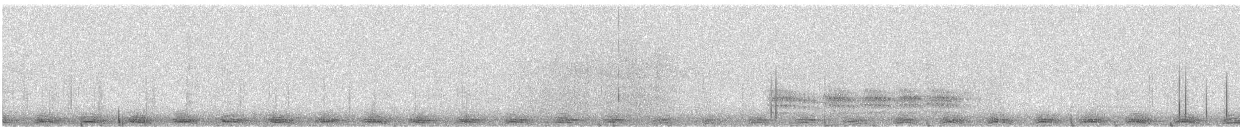 Сова плямиста - ML616705197