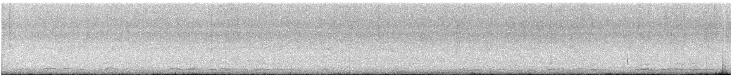 Лебідь чорнодзьобий - ML616710331