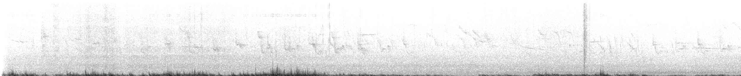Широкохвістка середземноморська - ML616710541