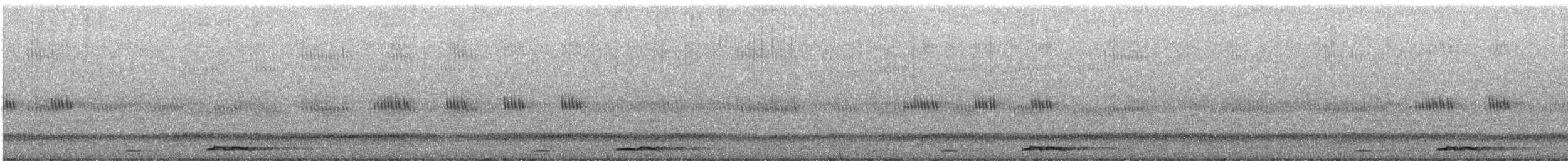 蘭嶼角鴞 - ML616710859