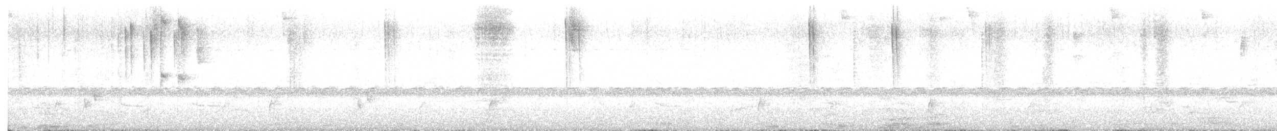 Дрізд-короткодзьоб Cвенсона - ML616715494