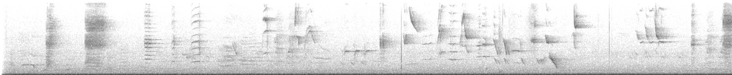 Méliphage tui - ML616722747