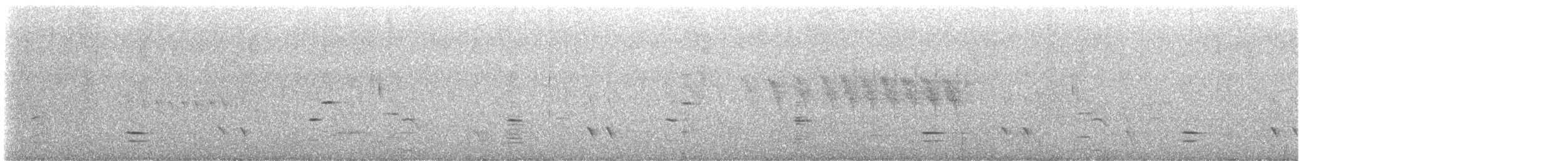 New Zealand Bellbird - ML616723139