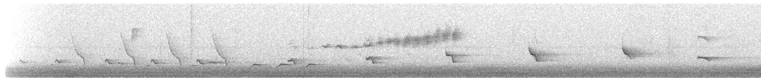 ミサゴ（carolinensis） - ML616723990
