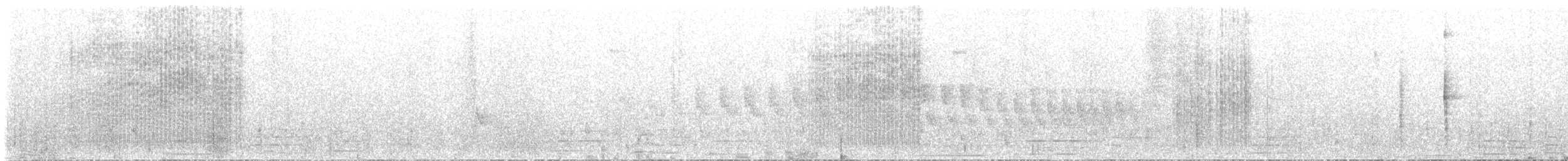 Grauschwanz-Dickichtschlüpfer - ML616725321