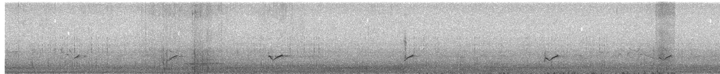 Archibebe Oscuro - ML616725870
