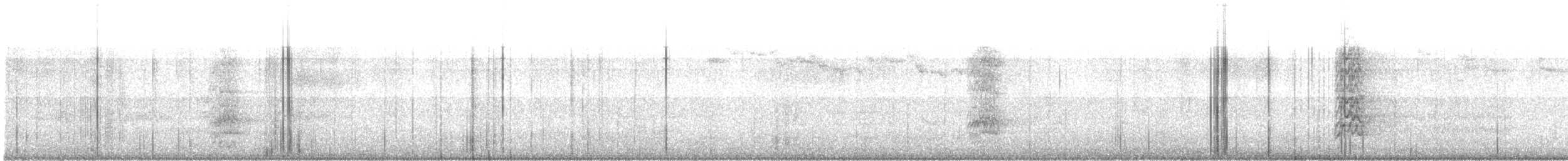 Conure magellanique - ML616727975