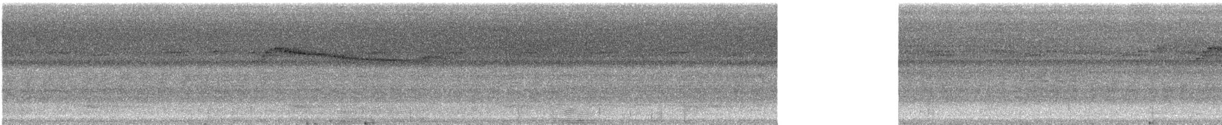 Golden-crowned Spadebill - ML616728567