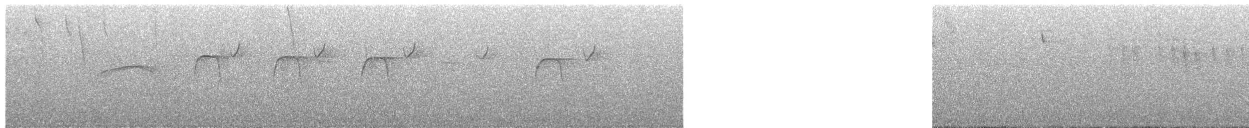 Kestane Karınlı Bülbül Tiranı - ML616730118